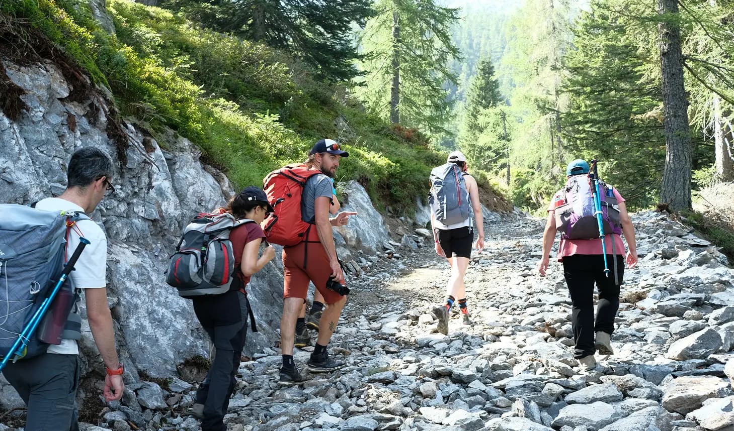 Hikers walking through a rocky forest path